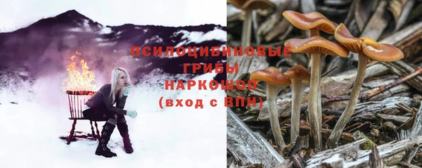 хмурый Зеленодольск
