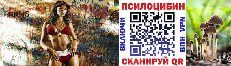 кракен tor  дарк нет наркотические препараты  Галлюциногенные грибы Psilocybine cubensis  Кимовск 