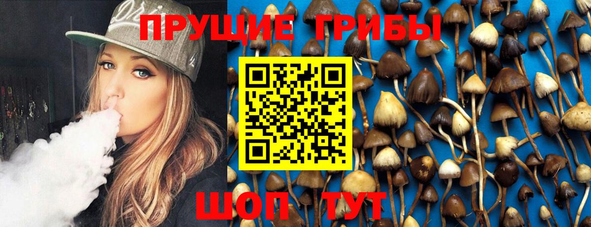 Кимовск  Псилоцибиновые грибы MAGIC MUSHROOMS  Псилоцибиновые грибы Cubensis  Вход с VPN 